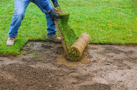 sod installation sacramento|Sod Sacramento